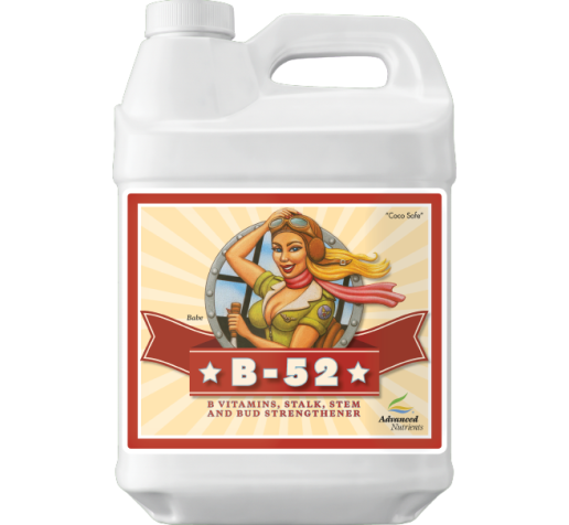 Advanced Nutrients B-52 250ml фото