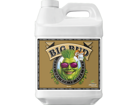 Advanced Nutrients Big Bud Coco 250ml купити в Україні фото