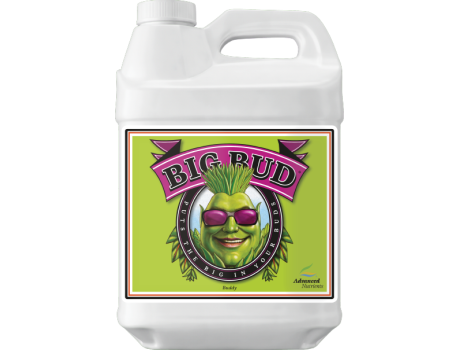 Advanced Nutrients Big Bud 250ml купити в Україні фото