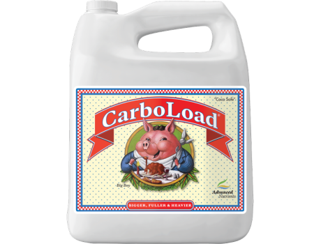CarboLoad 4 L купити в Україні фото