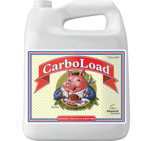 CarboLoad 4 L фото