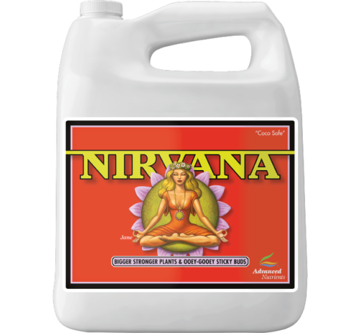 Nirvana 4 L фото