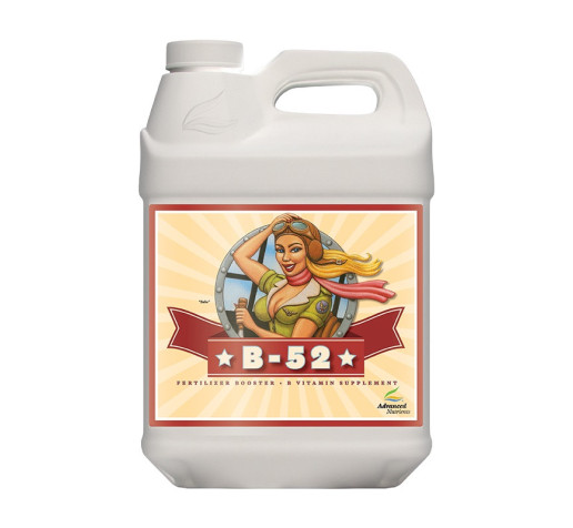 Advanced Nutrients B-52  4L фото