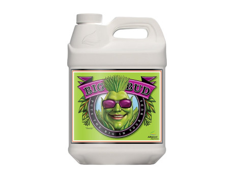 Advanced Nutrients Big Bud 4L купити в Україні фото