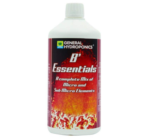 Oligo Spectrum / B