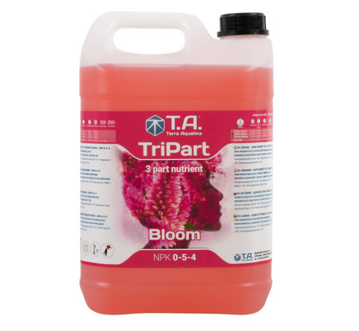 Flora Bloom 5 ltr GHE Франція фото